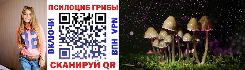 это формула Жуковский Псилоцибиновые грибы GOLDEN TEACHER